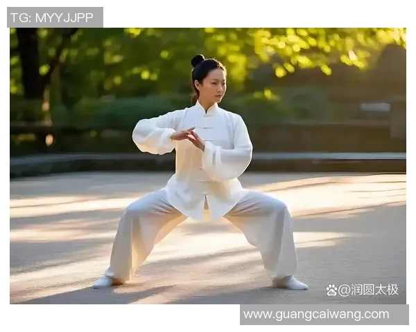 探寻太极多少式的奥秘与内涵，领悟传统武术的深厚智慧与哲学思想