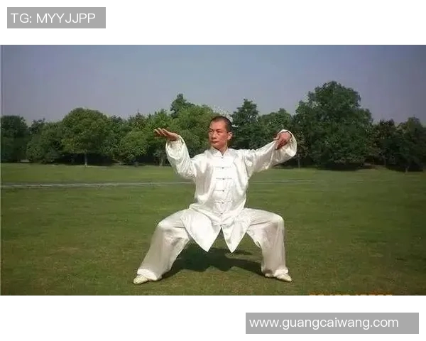 太极拳在健身中的独特作用与健康益处全面解析