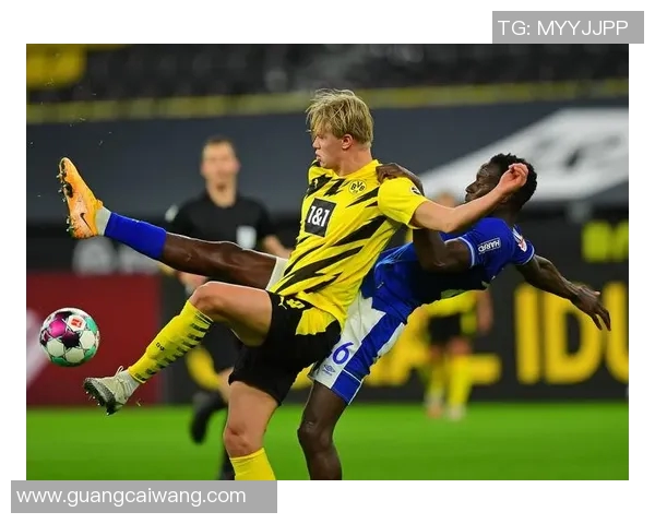 沙尔克04力克对手，德甲保持领先优势，取得关键胜利